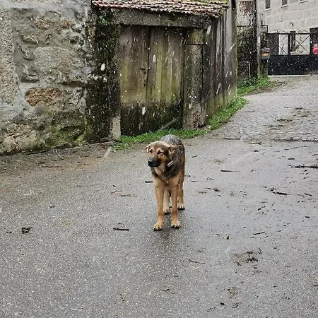 Casa Do Faqueiro De Casas Brioso * Outeiro