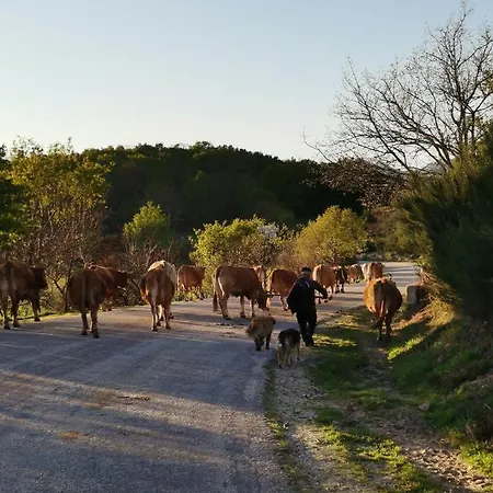 Casa Do Faqueiro De Casas Brioso *