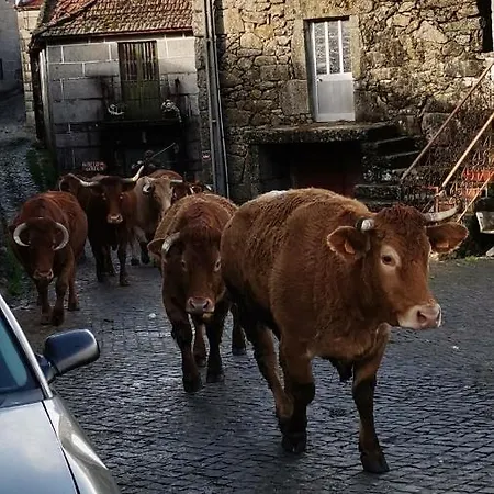 Casa Do Faqueiro De Casas Brioso