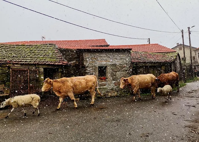 度假居 Casa Do Faqueiro De Casas Brioso