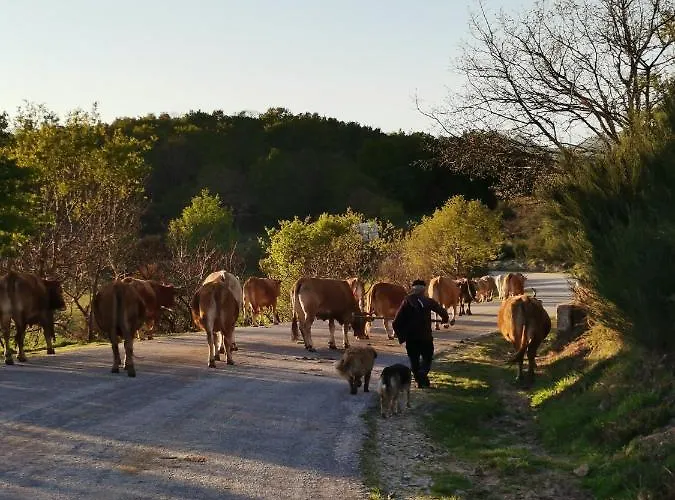 Casa Do Faqueiro De Casas Brioso *