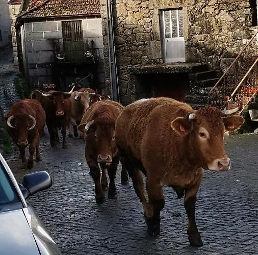 Casa Do Faqueiro De Casas Brioso